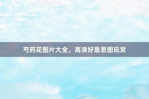 芍药花图片大全，高清好意思图玩赏